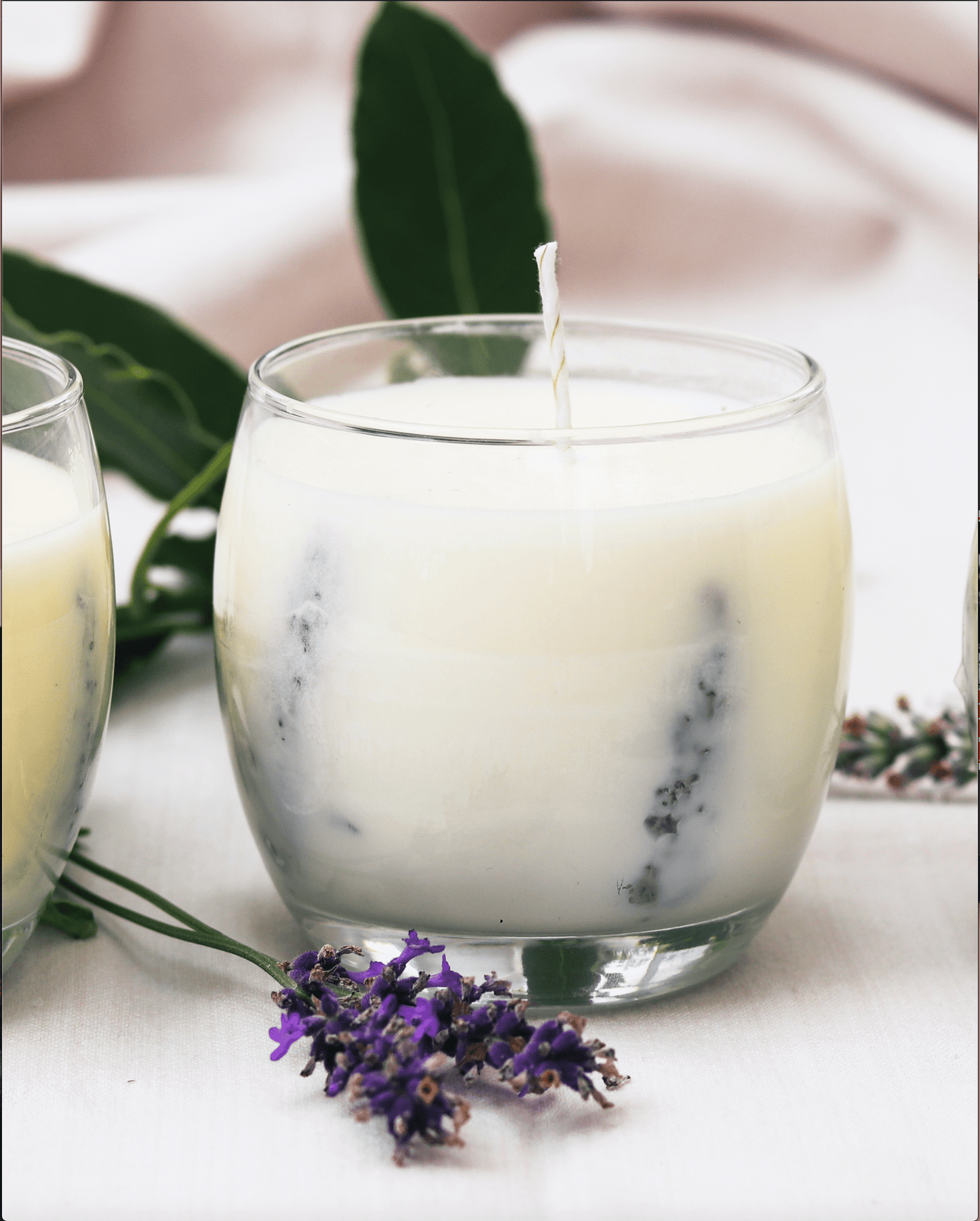 Lavender & Seasalt Legacy Candle